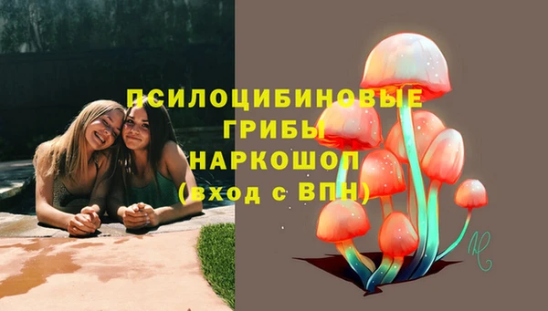 амф Новодвинск