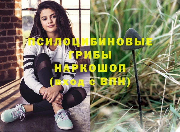 круглые Алексин