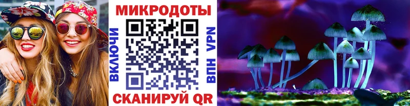 Псилоцибиновые грибы мухоморы mega сайт darknet телеграм Брянск